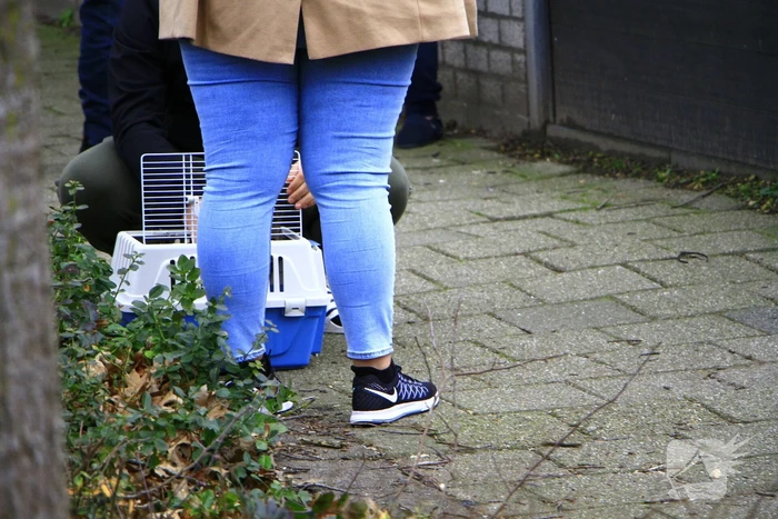 Woningen ontruimd wegens gaslekkage