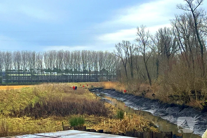 nieuws kruisnetlaan hoogvliet rotterdam