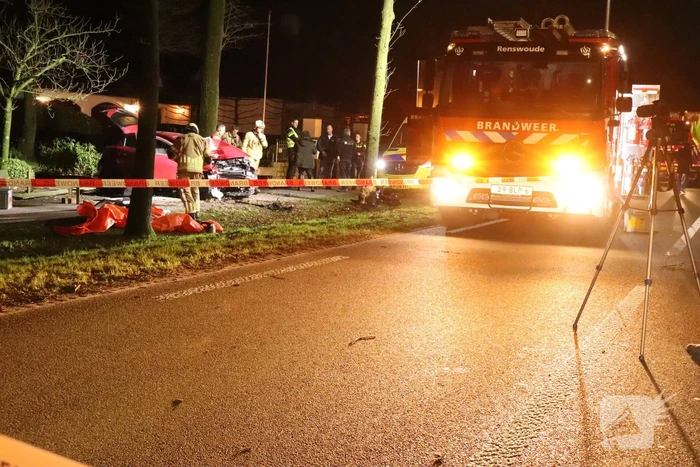Automobilist ernstig gewond bij botsing met boom