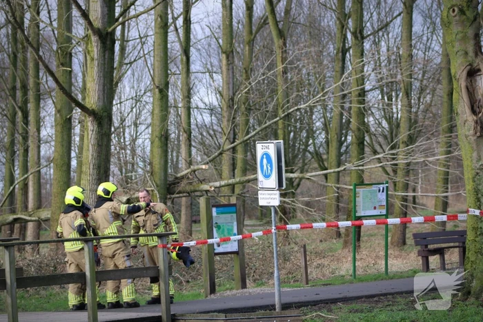 natuur papaverveld waddinxveen