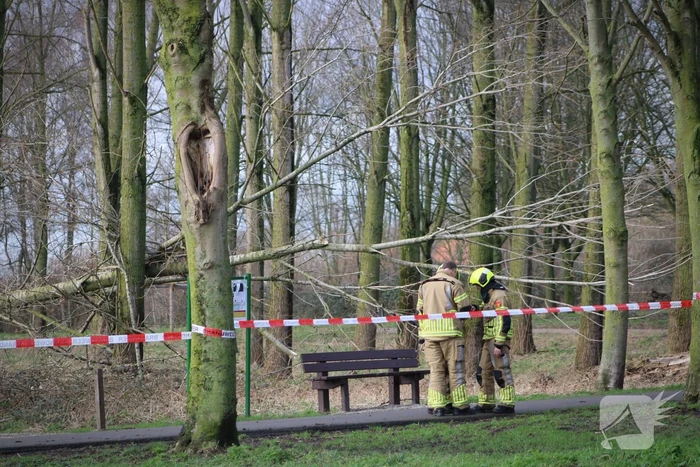Gouwe bos afgesloten vanwege stormschades