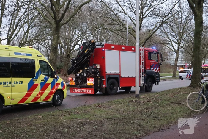 Fietser overleden bij aanrijding met lijnbus