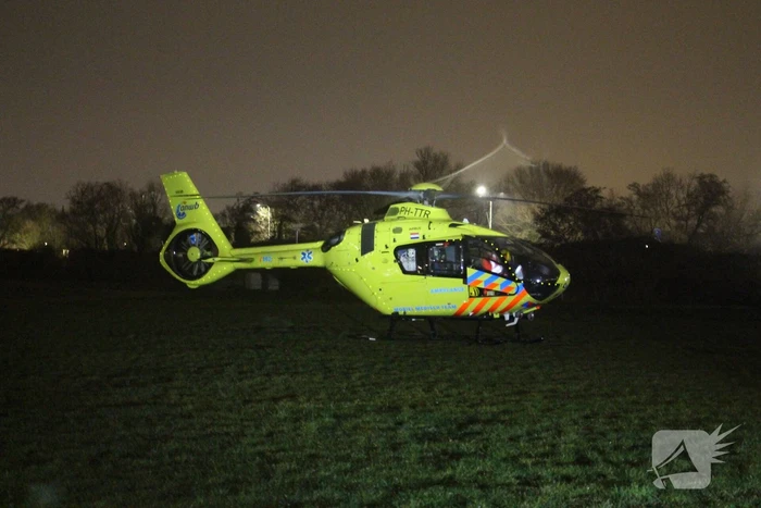 nieuws hondskruid katwijk