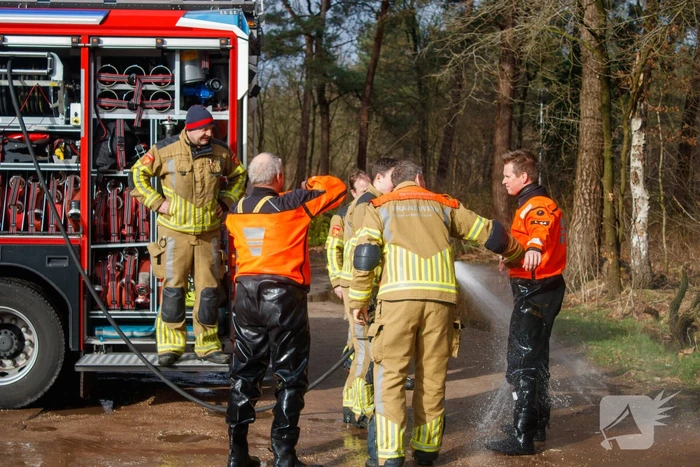 Dieren in de problemen door hoog water