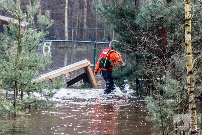 Dieren in de problemen door hoog water
