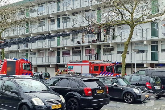 Brand in flatwoning