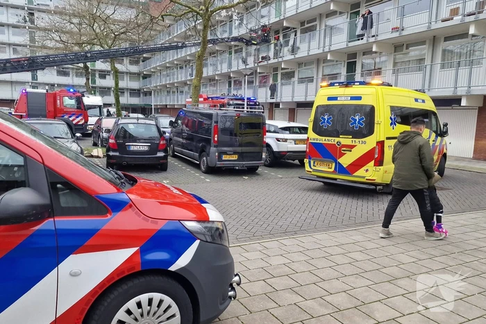 Brand in flatwoning