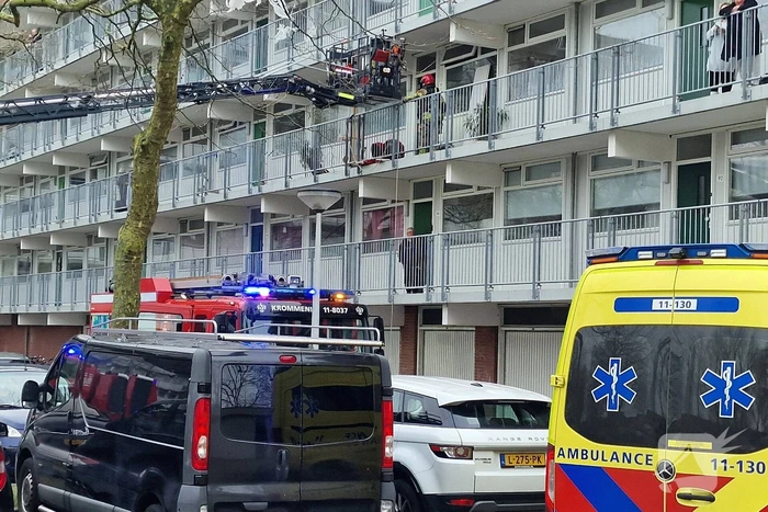 Brand in flatwoning