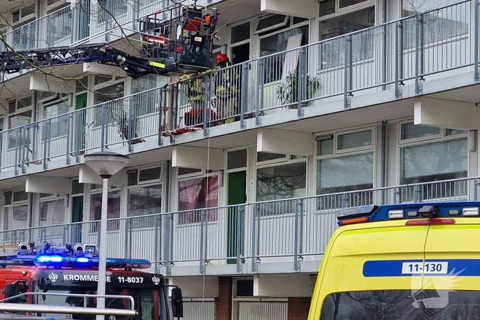 Brand in flatwoning