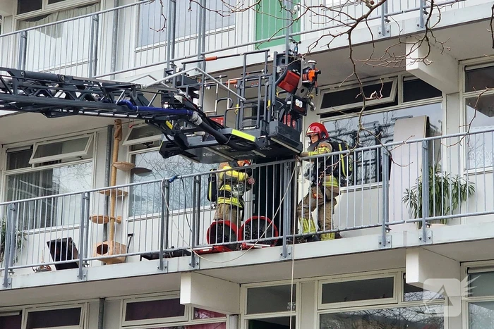 Brand in flatwoning