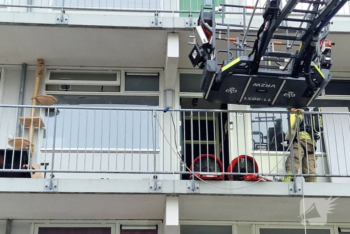 Brand in flatwoning