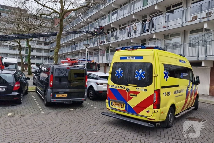 Brand in flatwoning
