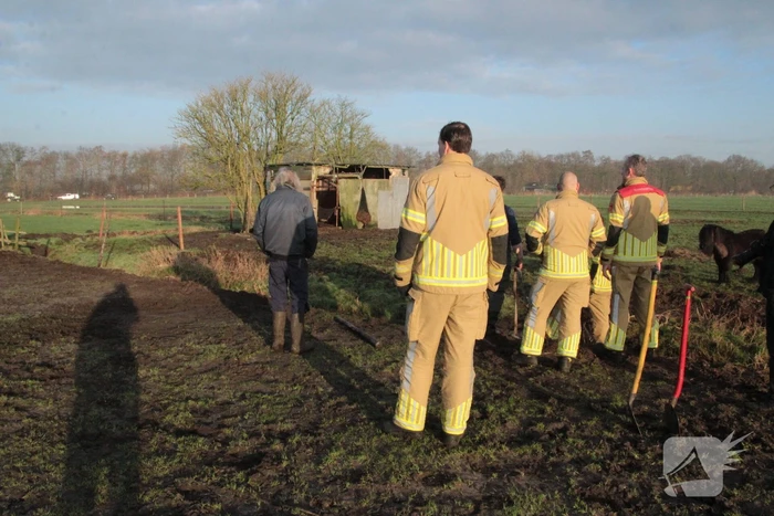 Brandweer ingezet voor een paard in de sloot