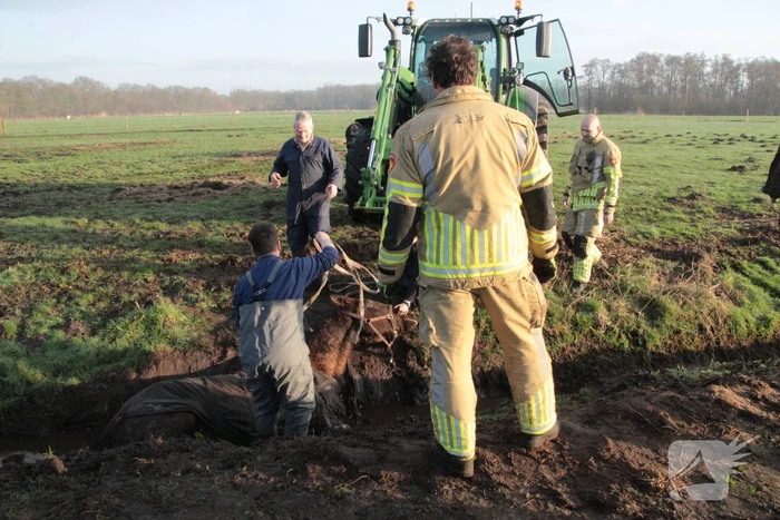 Brandweer ingezet voor een paard in de sloot
