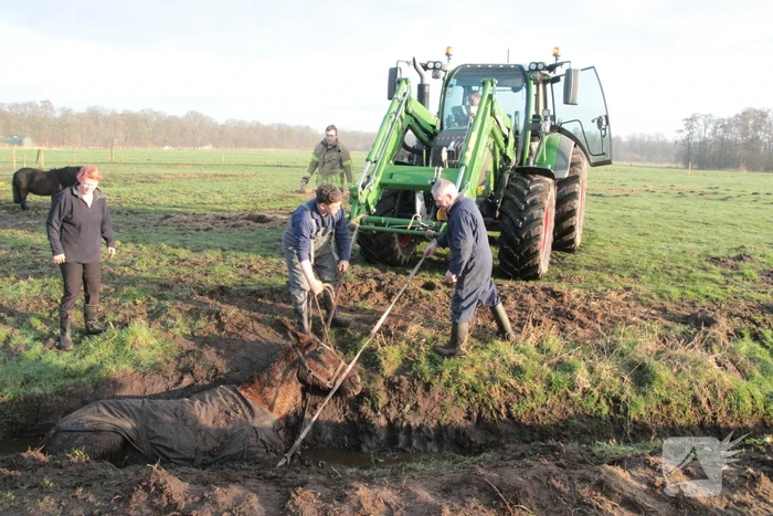 Brandweer ingezet voor een paard in de sloot