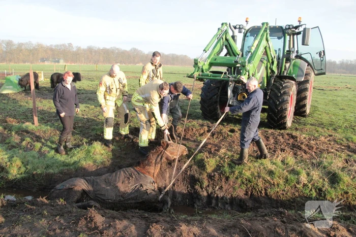 Brandweer ingezet voor een paard in de sloot