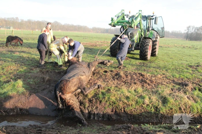 Brandweer ingezet voor een paard in de sloot