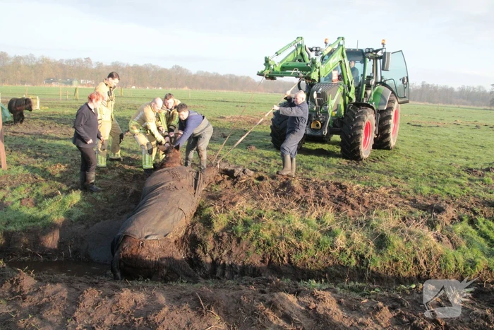Brandweer ingezet voor een paard in de sloot