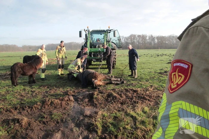 Brandweer ingezet voor een paard in de sloot