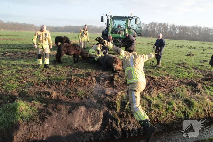 Brandweer ingezet voor een paard in de sloot