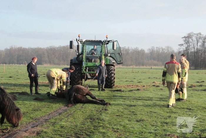 Brandweer ingezet voor een paard in de sloot