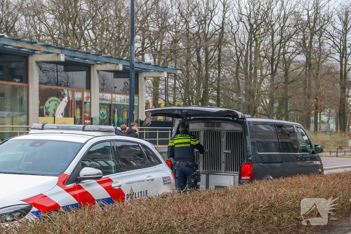 27 jarige man aangehouden in woning