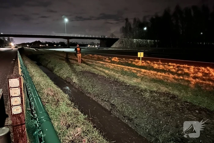 Automobiliste belandt in sloot naast snelweg
