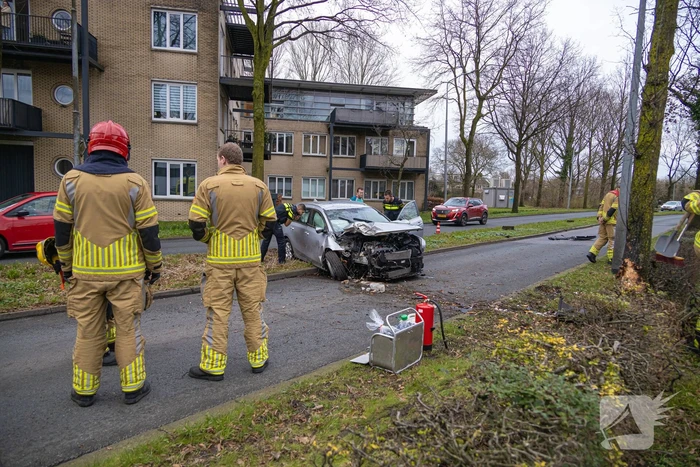 Dronken bestuurder botst frontaal op boom