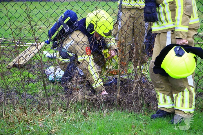 Gasleiding geraakt tijdens planten van bomen