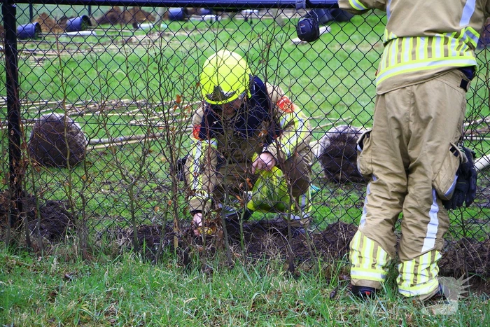 Gasleiding geraakt tijdens planten van bomen
