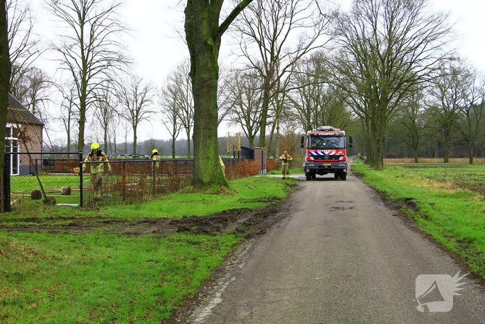 Gasleiding geraakt tijdens planten van bomen