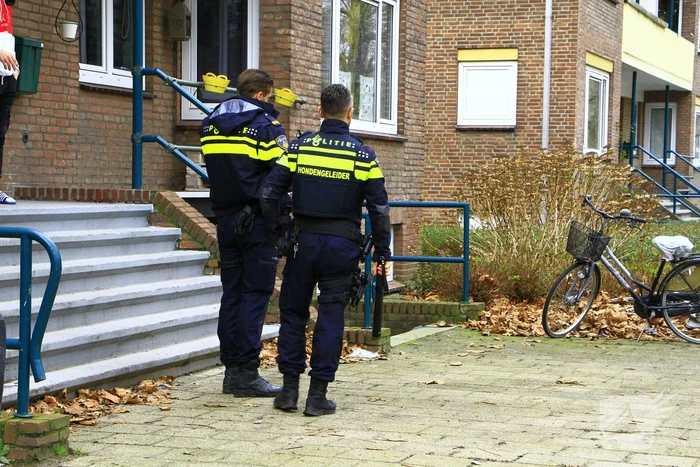 Vrouw naar ziekenhuis na aanval door hond