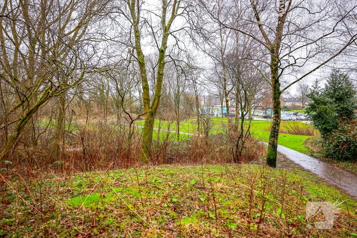 Man en hond gewond bij steekincident in park