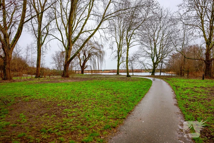 Man en hond gewond bij steekincident in park