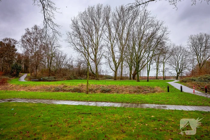 Man en hond gewond bij steekincident in park