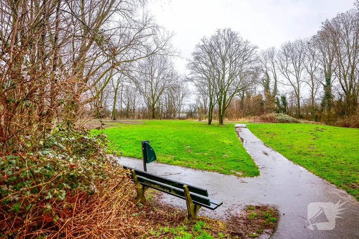 steekincident goeman borgesiuslaan baarn