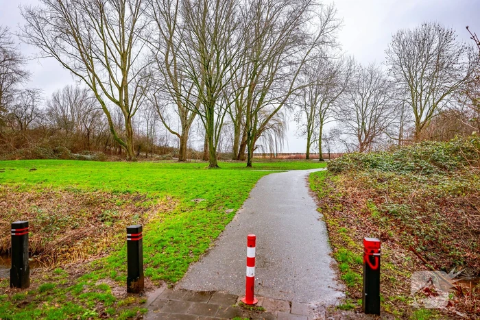 Man en hond gewond bij steekincident in park