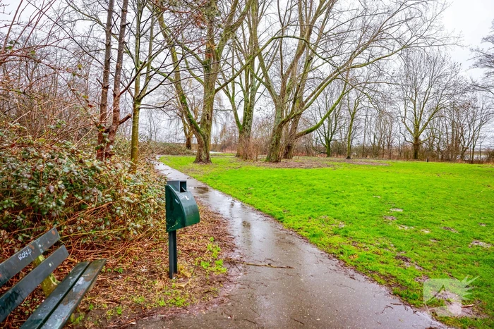 Man en hond gewond bij steekincident in park