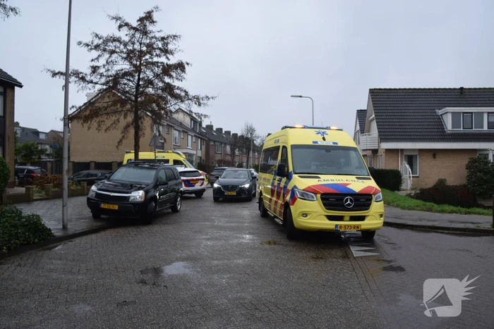 nieuws zwetburgh de lier