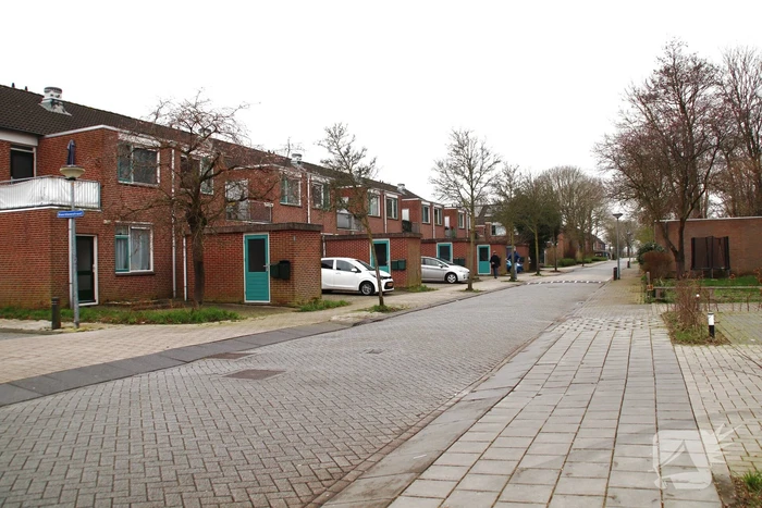 Giftige cobra ontsnapt, Hou ramen en deuren dicht