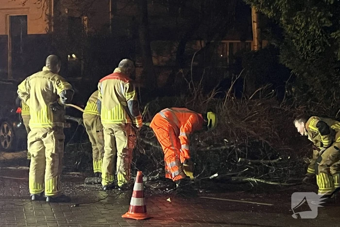 Automobilist rijdt boom en lantaarnpaal uit de grond