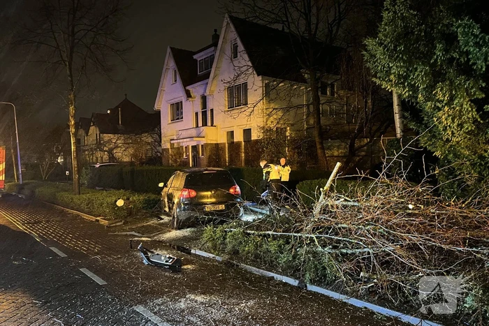 Automobilist rijdt boom en lantaarnpaal uit de grond