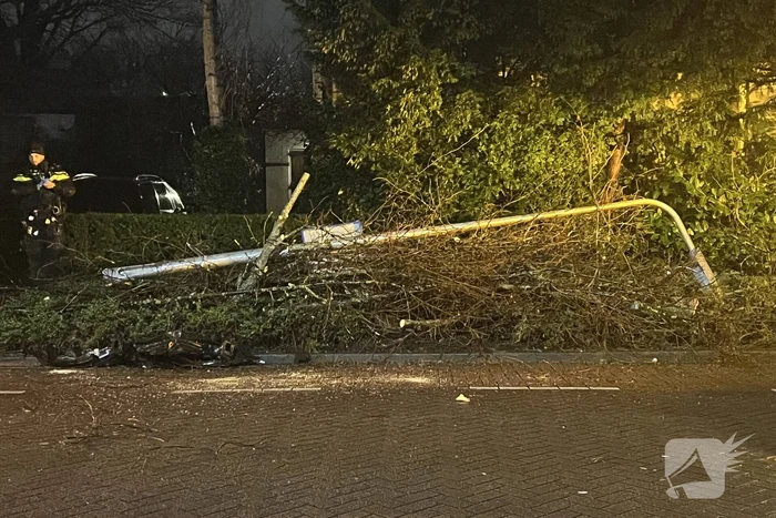 Automobilist rijdt boom en lantaarnpaal uit de grond