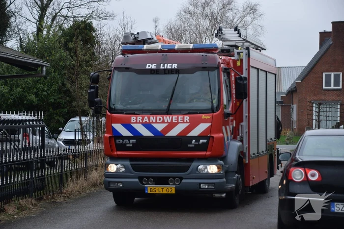 Brandweer ingezet voor paard in put