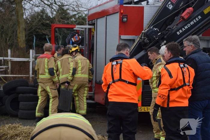 Brandweer ingezet voor paard in put