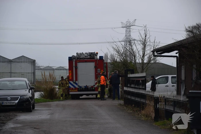 Brandweer ingezet voor paard in put