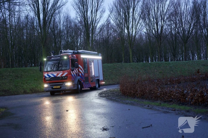 Omgewaaide boom beschadigd gasleiding