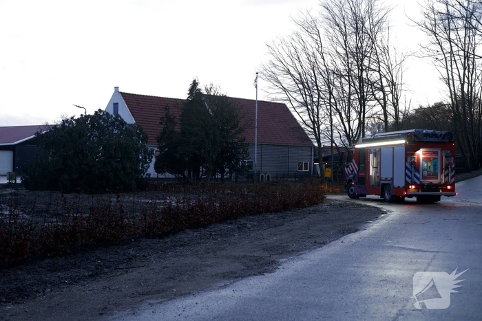 Omgewaaide boom beschadigd gasleiding