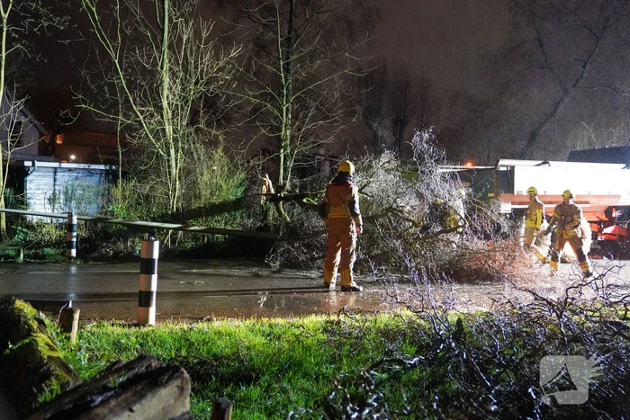 Lantaarnpaal omver door vallende boom