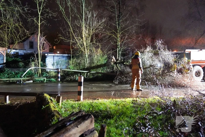 Lantaarnpaal omver door vallende boom
